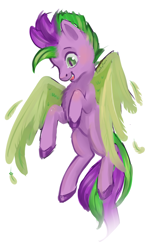 Size: 850x1400 | Tagged: safe, artist:funky_furs, artist:funkyfurs, derpibooru import, spike, pegasus, pony, a pony named spike, g4, chest fluff, colored hooves, colt, feather, feathered wings, flying, male, open mouth, open smile, ponified, ponified spike, simple background, sketch, smiling, solo, species swap, spread wings, stallion, tail, white background, wings