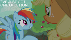 Size: 828x465 | Tagged: safe, derpibooru import, edit, edited screencap, editor:quoterific, screencap, applejack, rainbow dash, buckball season, apple, apple tree, tree