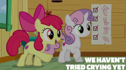 Size: 828x465 | Tagged: safe, derpibooru import, edit, edited screencap, editor:quoterific, screencap, apple bloom, sweetie belle, marks for effort, clubhouse, crusaders clubhouse