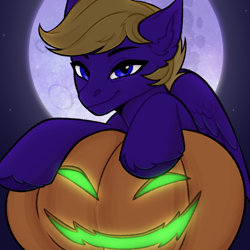 Size: 2048x2048 | Tagged: safe, artist:enderbee, derpibooru import, oc, oc:wing front, pegasus, pony, blue eyes, commission, halloween, happy, holiday, pegasus oc, pumpkin, smiling, solo, stars, ych result