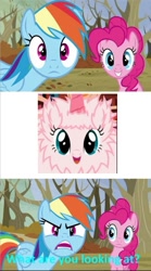 Size: 677x1219 | Tagged: safe, derpibooru import, edit, edited screencap, screencap, pinkie pie, rainbow dash, oc, oc only, oc:fluffle puff, earth pony, pegasus, pony, tanks for the memories, fake horn, looking at you, rainbow dash is not amused, unamused