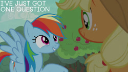 Size: 1280x720 | Tagged: safe, derpibooru import, edit, edited screencap, editor:quoterific, screencap, applejack, rainbow dash, buckball season, apple, apple tree, food, tree