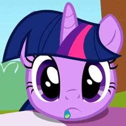 Size: 538x539 | Tagged: safe, derpibooru import, screencap, twilight sparkle, unicorn twilight, pony, unicorn, season 1, the ticket master, cropped, cute, eating, eating flower, female, flower, herbivore, looking at you, mare, ponyville, solo, staring at you, twiabetes, twiman