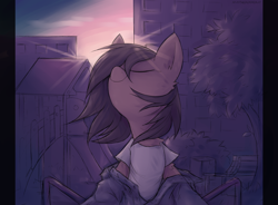 Size: 4072x3000 | Tagged: safe, artist:anotherdeadrat, derpibooru import, oc, oc only, pony, clothes, crepuscular rays, eyes closed, high res, outdoors, shirt, solo, sunset