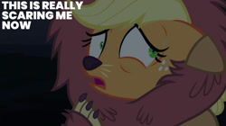 Size: 828x465 | Tagged: safe, derpibooru import, edit, edited screencap, editor:quoterific, screencap, applejack, scare master, solo