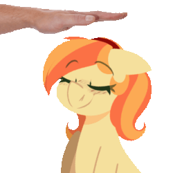 Size: 560x560 | Tagged: safe, artist:modularpon, derpibooru import, oc, oc only, oc:carrot spring, animated, hand, head pat, pat, simple background, transparent background