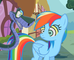 Size: 1280x1041 | Tagged: safe, artist:marybethemberjoy49-1, derpibooru import, edit, edited screencap, screencap, rainbow dash, pegasus, pony, snake, female, hypno dash, hypno eyes, hypnosis, hypnotized, kaa, kaa eyes, low effort, male, mare, ponyville