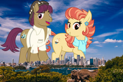 Size: 2048x1365 | Tagged: safe, artist:cheezedoodle96, derpibooru import, edit, editor:jaredking779, aunt holiday, snap shutter, earth pony, pony, australia, brother and sister, clothes, duo, female, giant pony, giantess, hat, highrise ponies, irl, macro, male, mare, photo, ponies in real life, scarf, shirt, siblings, stallion, story included, sydney