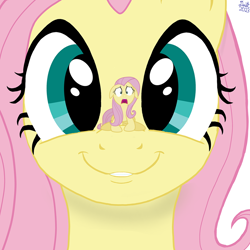 Size: 900x900 | Tagged: safe, artist:twiny dust, derpibooru import, edit, fluttershy, pegasus, pony, cute, female, frustration, looking at you, mare, simple background, smiling, white background