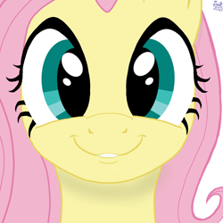 Size: 900x900 | Tagged: safe, artist:twiny dust, derpibooru import, edit, fluttershy, cute, female, looking at you, mare, shyabetes, simple background, smiling, solo, white background