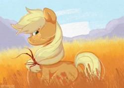 Size: 2560x1809 | Tagged: safe, artist:chickenbrony, derpibooru import, applejack, earth pony, pony, female, food, looking at you, looking back, looking back at you, mare, smiling, solo, wheat, wheat grass