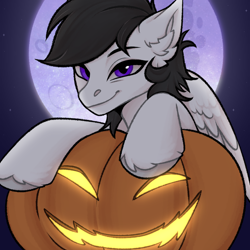 Size: 2048x2048 | Tagged: safe, artist:enderbee, derpibooru import, oc, oc only, oc:ash farwind, pegasus, pony, commission, ear fluff, ears, halloween, happy, holiday, jack-o-lantern, moon, pegasus oc, pumpkin, smiling, solo, stars, ych result