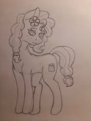 Size: 3000x4000 | Tagged: safe, artist:chacarron, derpibooru import, pear butter, earth pony, pony, female, flower, flower in hair, looking at you, mare, monochrome, photo, sketch, solo, traditional art