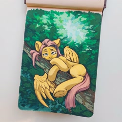 Size: 2560x2560 | Tagged: safe, artist:amishy, derpibooru import, fluttershy, pegasus, pony, female, frog (hoof), gouache, in a tree, lidded eyes, looking at you, mare, missing cutie mark, solo, traditional art, tree, tree branch, underhoof