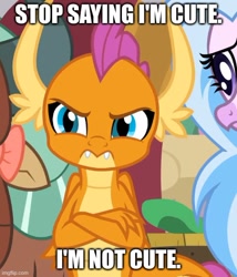 Size: 500x585 | Tagged: safe, derpibooru import, edit, edited screencap, screencap, silverstream, smolder, yona, classical hippogriff, dragon, hippogriff, yak, the hearth's warming club, spoiler:s08, blatant lies, caption, crossed arms, cute, cute little fangs, denial, denial's not just a river in egypt, dragoness, fangs, female, frown, i'm not cute, image macro, smolderbetes, smoldere, text, tsundere