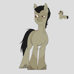 Size: 2000x2000 | Tagged: safe, artist:chevapchichi_, derpibooru import, oc, oc:punk, earth pony, pony, black hair, black tail, brown eyes, hooves, light skin, male, mohawk, skull, solo, stallion, tail