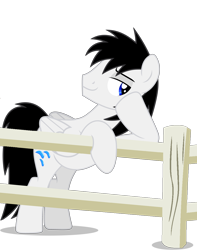 Size: 4000x5080 | Tagged: safe, artist:creedyboy124, derpibooru import, oc, oc only, oc:shane park, pegasus, fence, flirting, male, pegasus oc, simple background, smiling, solo, stallion, transparent background