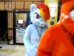 Size: 640x480 | Tagged: safe, artist:spainfischer, derpibooru import, applejack, rainbow dash, anthro, earth pony, human, pegasus, pony, g4, 2011, animated, bouncing, convention, fursuit, gif, hoof over mouth, irl, irl human, jumping, lanyard, megaplex, photo, ponysuit, smiling, smirk, solo, spinning, spread wings, wings