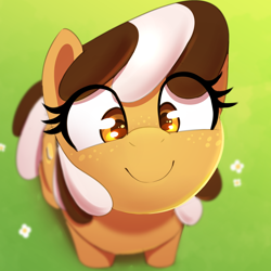 Size: 1000x1000 | Tagged: safe, artist:thebatfang, derpibooru import, oc, oc only, oc:s'mare, earth pony, food pony, original species, pony, blurry background, boopable, cute, female, flower, food, grass, high angle, looking at you, looking up, looking up at you, mare, ponified, s'mores pony, smiling, smiling at you, solo, species swap