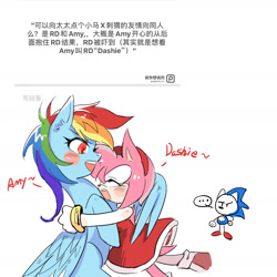 Size: 1979x1979 | Tagged: safe, artist:sadistjolt, derpibooru import, rainbow dash, hedgehog, ..., amy rose, chinese, crossover, female, hug, mare, sonic the hedgehog (series), translation request, winghug, wings