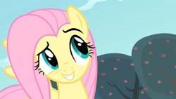 Size: 2560x1440 | Tagged: safe, derpibooru import, screencap, fluttershy, pegasus, bats!, season 4, cute, dreamworks face, female, shyabetes, smiling, smugshy, solo