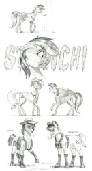 Size: 950x1753 | Tagged: safe, artist:baron engel, derpibooru import, applejack, rainbow dash, oc, earth pony, pegasus, pony, black and white, boots, bubblegum, cap, earth pony oc, female, food, grayscale, gum, hat, hoof boots, male, mare, monochrome, pencil drawing, raised hoof, raised leg, shoes, simple background, smelly, spread wings, stallion, straw in mouth, traditional art, white background, wings