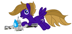 Size: 1103x529 | Tagged: safe, artist:hurricanehunter03, derpibooru import, oc, oc only, oc:wing front, pegasus, anime sweat, blue eyes, brown mane, brown tail, capitol building, hurricane, pegasus oc, purple fur, simple background, solo, tail, white background