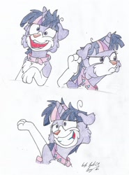 Size: 1502x2029 | Tagged: safe, artist:silversimba01, derpibooru import, twilight sparkle, unicorn twilight, border collie, dog, unicorn, collar, facial expressions, female, solo, species swap, twilight barkle, twilight dog, twilight snapple