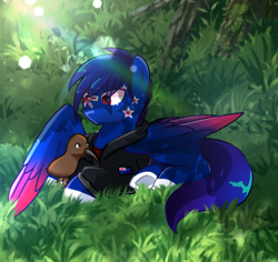 Size: 960x905 | Tagged: safe, artist:diniarvegafinahar, derpibooru import, bird, pegasus, pony, clothes, colored wings, duo, gradient wings, grass, jacket, kiwi, lying down, male, nation ponies, new zealand, ponified, prone, species swap, stallion, wings