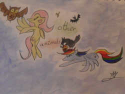 Size: 500x375 | Tagged: safe, artist:mylittleawesome, derpibooru import, fluttershy, rainbow dash, bat, bird, insect, owl, pegasus, pony, toucan, duo, eyes closed, find a pet, flying, simple background, singing, sogreatandpowerful, traditional art, wasp