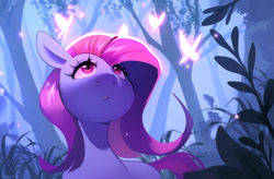 Size: 4212x2770 | Tagged: safe, artist:sugarstar, derpibooru import, star swirl, butterfly, earth pony, pony, female, forest, looking up, mare, open mouth, solo