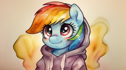 Size: 960x536 | Tagged: safe, ai content, derpibooru import, machine learning generated, rainbow dash, pegasus, pony, clothes, cute, hoodie