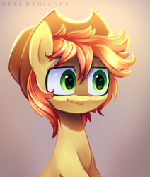 Size: 2153x2535 | Tagged: safe, artist:opal_radiance, derpibooru import, oc, earth pony, pony, kofi, solo