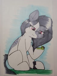 Size: 1536x2048 | Tagged: safe, artist:taurson, derpibooru import, oc, oc only, oc:inkenel, oc:oretha, pony, giant pony, macro, micro, plushie, traditional art