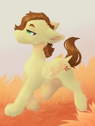 Size: 768x1024 | Tagged: safe, derpibooru import, oc, oc:yuris, pegasus, pony, wolf, ears back, field, grass, paws, smiling, solo, trade