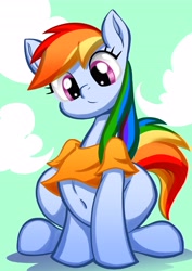 Size: 2897x4096 | Tagged: safe, artist:rainbowdashsuki, derpibooru import, rainbow dash, clothes, shirt, solo