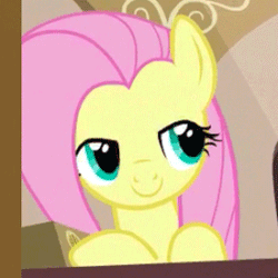 Size: 275x275 | Tagged: safe, derpibooru import, edit, fluttershy, pony, animated, blinking, cute, gif, meta, shyabetes, silly, silly pony, solo, wat