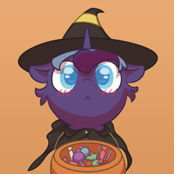 Size: 2000x2000 | Tagged: safe, artist:dark_wind, derpibooru import, oc, oc only, oc:dark wind, pony, blushing, candy, clothes, costume, cute, food, halloween, halloween costume, hat, holiday, looking at you, pumpkin bucket, simple background, solo