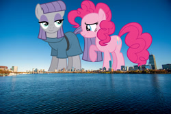 Size: 1600x1067 | Tagged: safe, artist:cencerberon, artist:dashiesparkle, derpibooru import, edit, editor:jaredking779, maud pie, pinkie pie, earth pony, pony, boston, duo, female, giant pony, giantess, highrise ponies, irl, macro, mare, massachusetts, photo, pie sisters, ponies in real life, siblings, sisters, smiling, story included, when she smiles