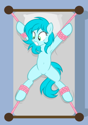 Size: 4227x5960 | Tagged: safe, artist:equestria secret guard, derpibooru import, oc, oc only, oc:suxuan, oc:素萱, earth pony, pony, bed, belly, belly button, bondage, earth pony oc, featureless crotch, female, gritted teeth, helpless, kidnapped, lying down, mare, on back, on bed, restrained, rope, rope bondage, scared, sexy, spread eagle, spread legs, spreading, teeth, tied down, tied to bed, tied up