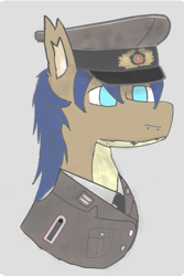 Size: 755x1127 | Tagged: safe, artist:traumatisedaxolotl, derpibooru import, oc, oc:tea stew, bat pony, pony, bust, clothes, east germany, hat, male, military uniform, peaked cap, portrait, simple background, stallion, uniform