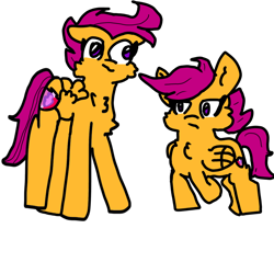 Size: 1000x1000 | Tagged: safe, artist:sweetsterty, derpibooru import, scootaloo, pegasus, pony, cheek fluff, chest fluff, female, filly, foal, mare, older, older scootaloo, self paradox, self ponidox, simple background, size difference, the cmc's cutie marks, white background