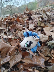 Size: 3468x4624 | Tagged: artist needed, source needed, safe, derpibooru import, oc, oc only, oc:milky way, earth pony, pony, female, irl, leaf, leaf pile, leaves, mare, outdoors, photo, plushie, ponies in real life, smiling, solo