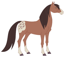 Size: 9861x8611 | Tagged: safe, artist:andoanimalia, derpibooru import, horse, better together, equestria girls, friendship through the ages, absurd resolution, appaloosa, blaze (coat marking), clothes, coat markings, description is artwork too, facial markings, lonestar, mealy mouth (coat marking), simple background, socks, transparent background, unnamed character, vector