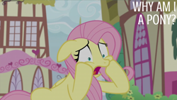 Size: 2000x1125 | Tagged: safe, derpibooru import, edit, edited screencap, editor:quoterific, screencap, angel bunny, fluttershy, g4, season 9, she talks to angel, spoiler:s09, ears, floppy ears, ponyville