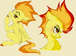 Size: 1204x880 | Tagged: safe, artist:woollyart, derpibooru import, spitfire, pegasus, pony, g4, simple background, sitting, solo