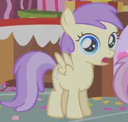 Size: 273x262 | Tagged: safe, derpibooru import, screencap, alula, pluto, princess erroria, pegasus, pony, call of the cutie, g4, season 1, cropped, female, filly, foal, shocked, spread wings, standing, wings