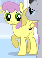 Size: 201x281 | Tagged: safe, derpibooru import, screencap, lucky clover, parasol, pegasus, pony, g4, season 1, sonic rainboom (episode), animation error, closed mouth, cropped, female, male, mare, raised hoof, raised leg, smiling, solo focus, spread wings, stallion, standing, wings