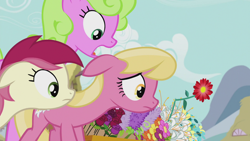 Size: 1920x1080 | Tagged: safe, derpibooru import, daisy, flower wishes, lily, lily valley, roseluck, earth pony, flower trio