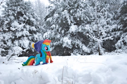 Size: 1280x850 | Tagged: safe, artist:mgrdash, derpibooru import, rainbow dash, pegasus, pony, clothes, forest, nature, photo, plushie, snow, solo, tree, winter, winter outfit